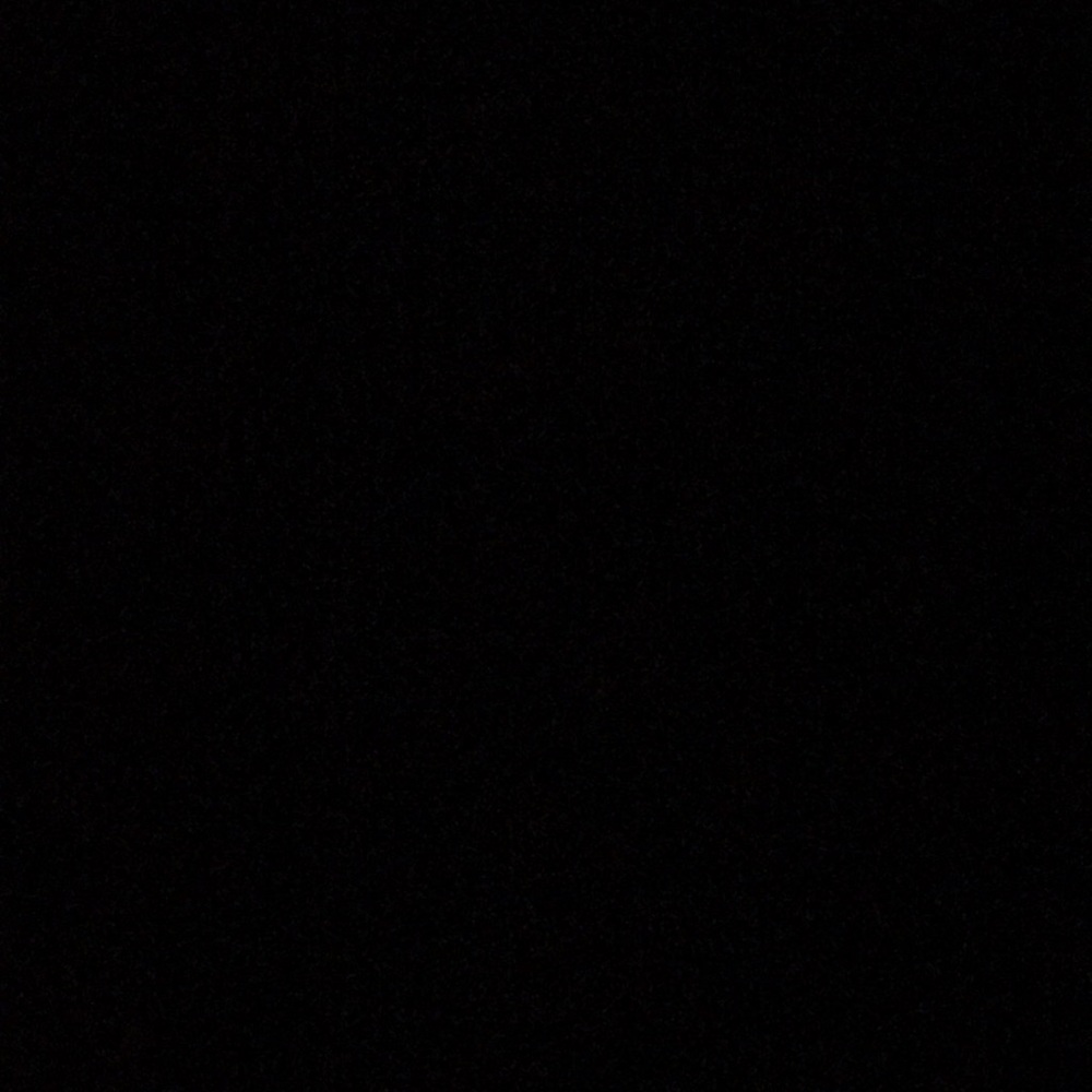 Meet your Posher, Delsie